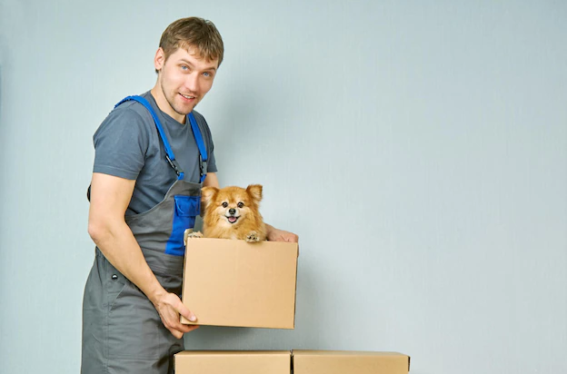 Packers and Movers Ejipura 2