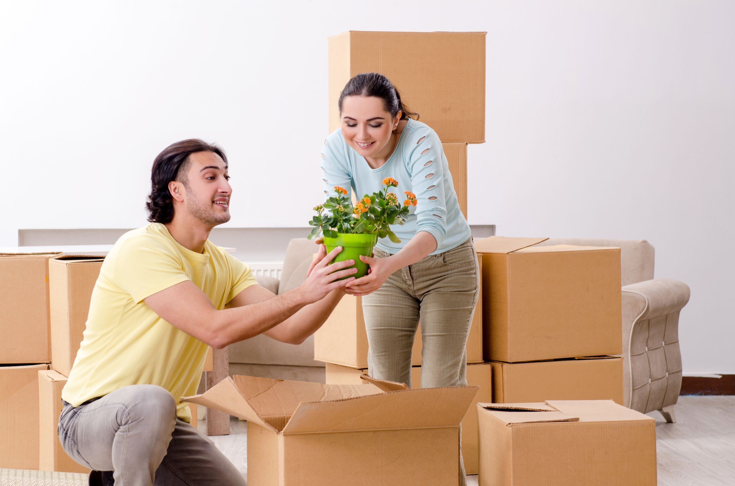 affordable services by packers and movers