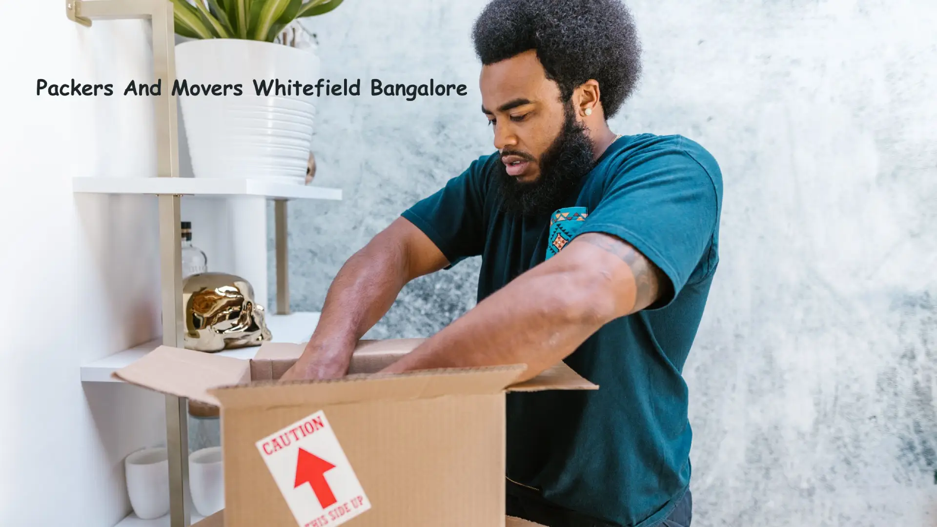 packers and movers whitefield bangalore