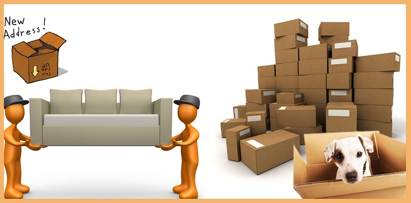packers and movers bellandur